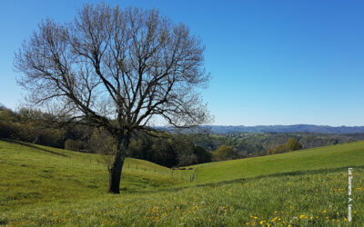 le Tour du Lot Cyclotouriste